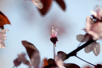 _DSC4973.jpg