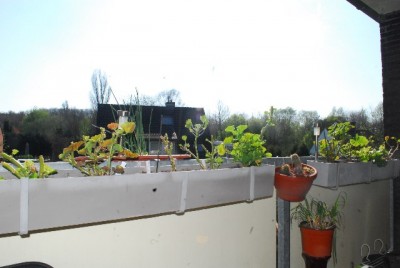 Balkon14 002yy.jpg