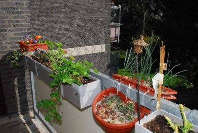 Balkon14 005yy.jpg