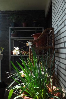 Balkon14 003yy.jpg