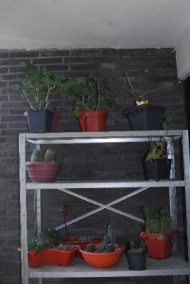 Balkon14 006yy.jpg
