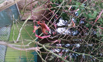 20140330_180259.jpg