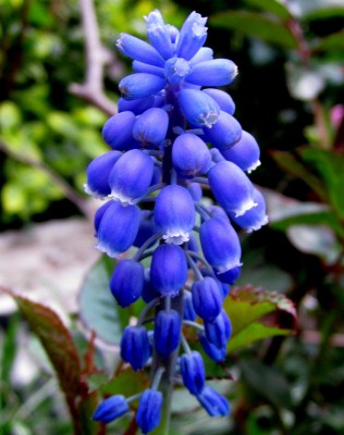 Frühling 2014 44610 ©.jpg