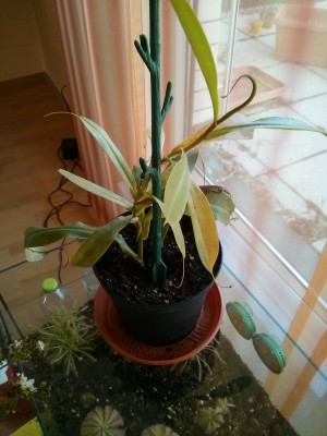 2014-04-02 17.47.09.jpg