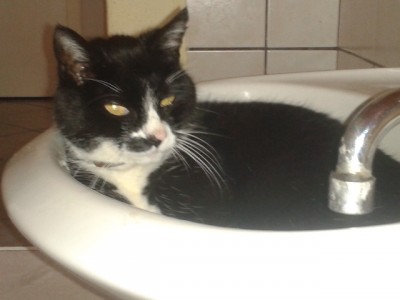 2014-04-02 12.35.31.jpg