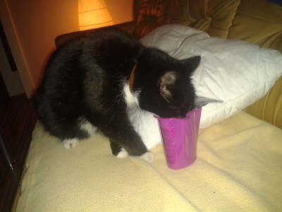 2014-03-16 23.33.39.jpg