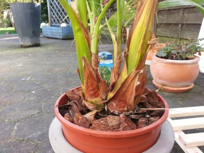 20140403_100729.jpg