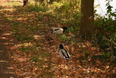 img_0836.jpg.jpg