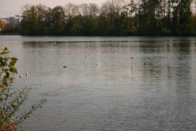 img_0827.jpg.jpg