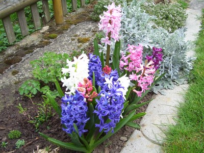 Frühling`14 (5).jpg