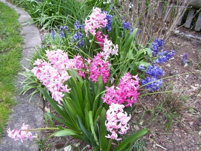 Frühling`14 (7).jpg