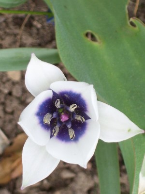 Frühling`14 (14).jpg