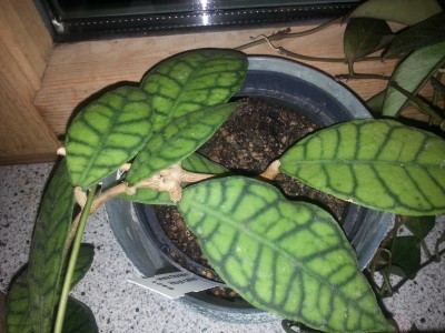 20140407_232801.jpg