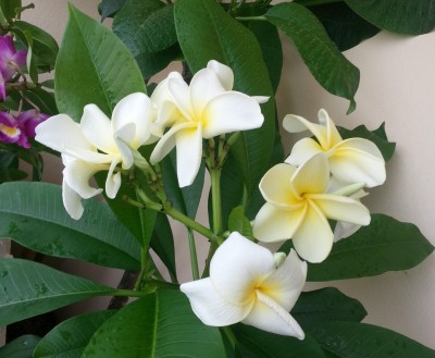 20140408_082428.jpg