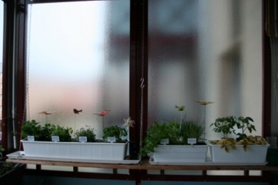 IMG_9076 (480x320).jpg