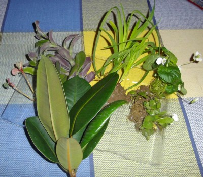 Bild 154.jpg