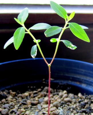 Frühling 2014 2 040.jpg