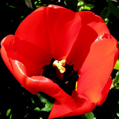 Frühling 2014 2 0231.jpg