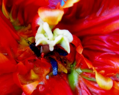 Frühling 2014 2 245.jpg