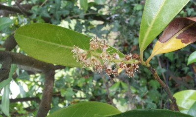 20140420_150715.jpg