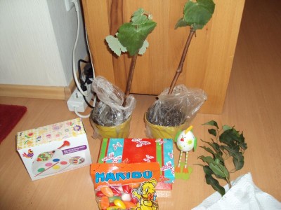 K800_Osterwichteln 2014_02.JPG