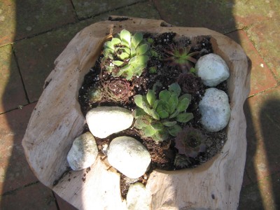Ostern 2014 004.JPG