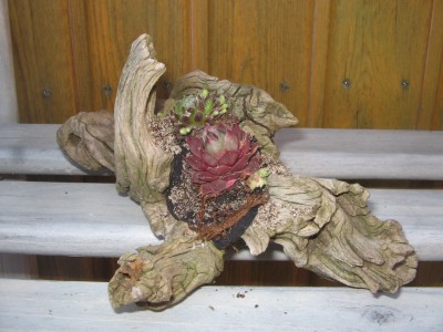 Ostern 2014 008.JPG