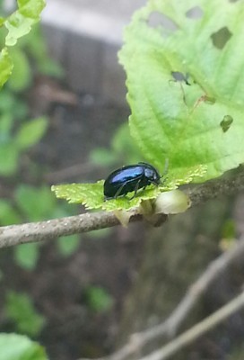 20140421_140750-1.jpg