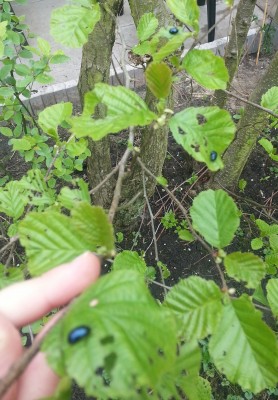 20140421_140617-1.jpg