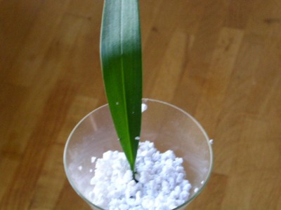 PICT0014.JPG