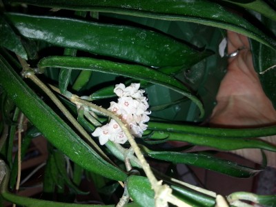 20140420_164150.jpg