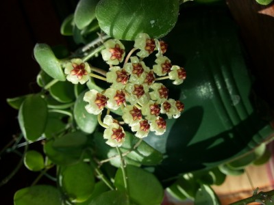 20140420_163626.jpg