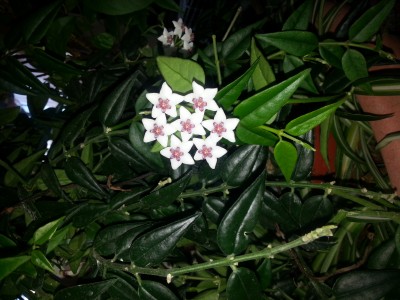 20140409_121846.jpg