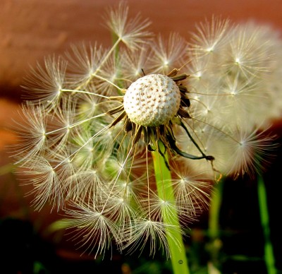 Frühling 2014 2 292.jpg