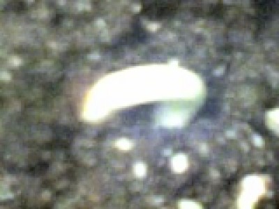 18-10-07_0758.jpg
