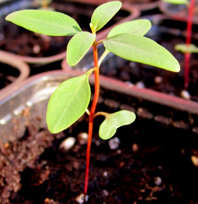 Frühling 2014 2 285.jpg