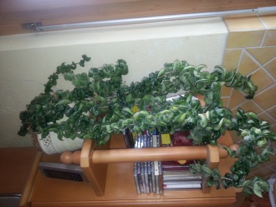 20140425_090124.jpg
