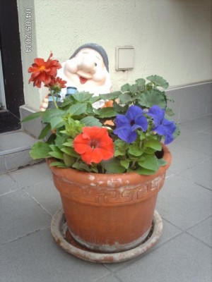 IMAG4027.JPG