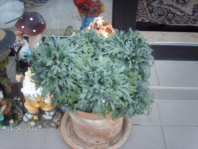 IMAG4077.JPG