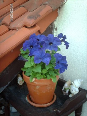 IMAG4079.JPG