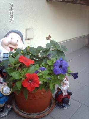 IMAG4082.JPG