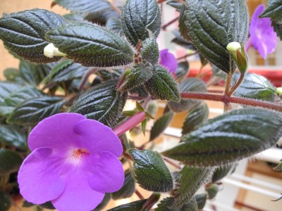 DSCN0155.jpg