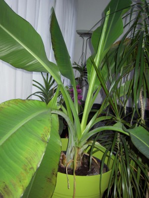 PICT0003.JPG