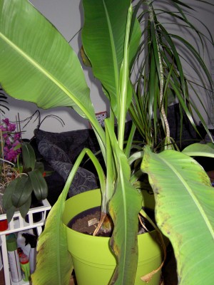 PICT0004.JPG