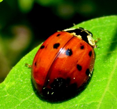 Frühling 2014 2 338.jpg