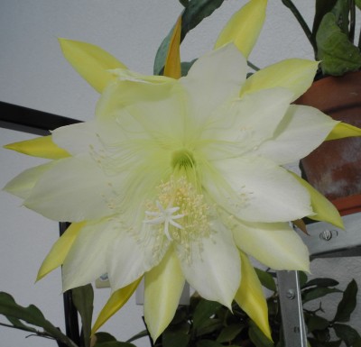 DSCN2625-k.jpg