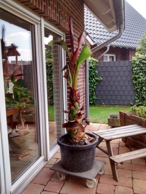 IMG_20140504_114635867_HDR.jpg