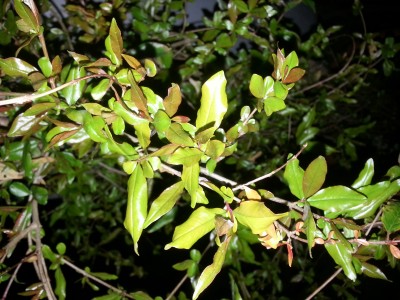 20140504_222120.jpg
