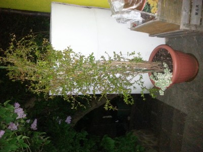 20140504_223947.jpg