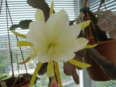 P5060009-k.jpg